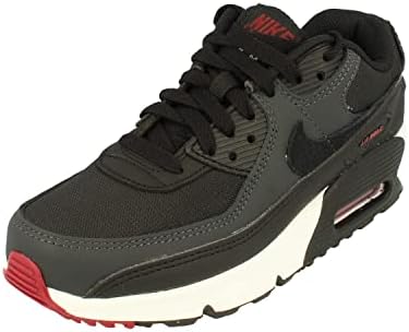 Nike Air Max 90 литра (gs) Размерът на Big Kids Cd6864-103