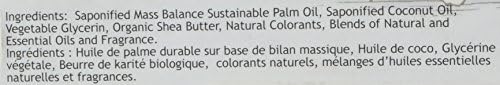 Естественият сапун за ежедневна детоксикация на South of France, Мед, цвят от портокал, 6 унции