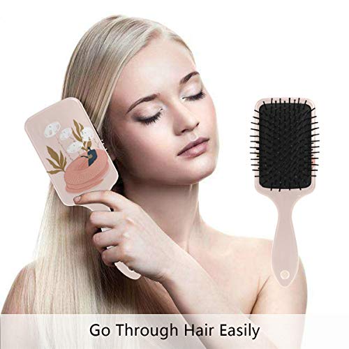 Четка за коса на въздушна възглавница Vipsk, пластмасов Пъстър Свеж фигура, Подходящ за добър масаж и антистатични разнищване на Косата, подходящ за суха и мокра коса, гъста, къдрава или на преките